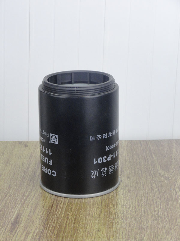 /2994057_cnh_filter